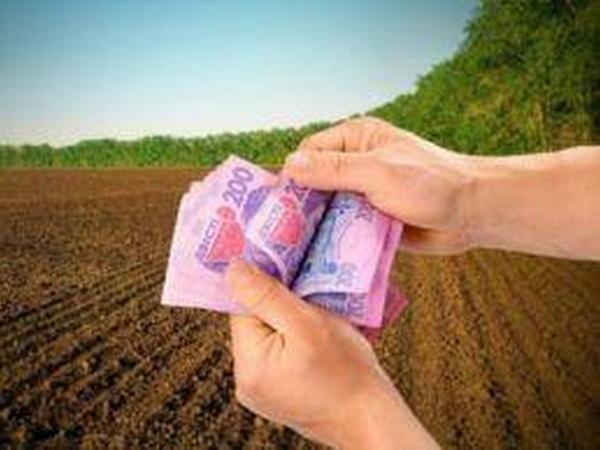 Землепользователи и землевладельцы пополнили местные бюджеты Кременчуга на 15 млн грн