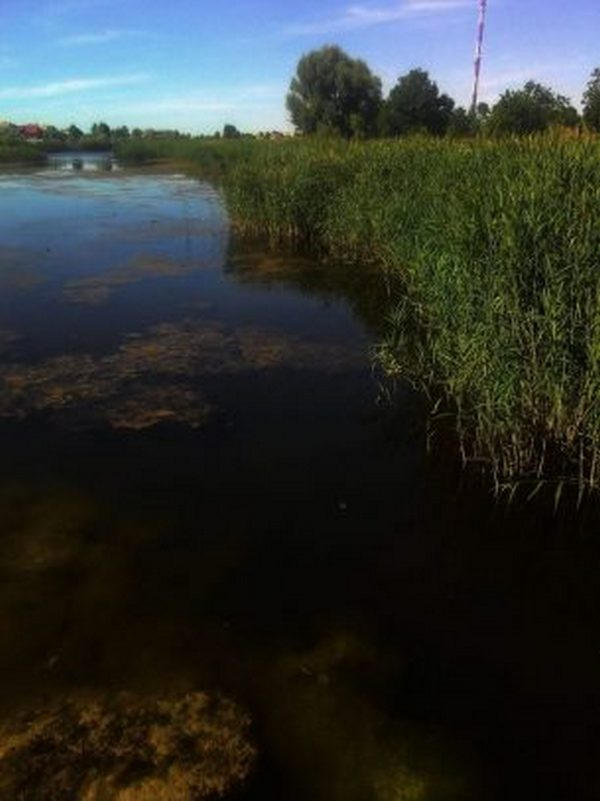Сухой Кагамлык постепенно превращается в болото