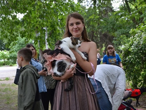Парад животных «Кубок Хатико» собрал собак, кошек и даже улиток