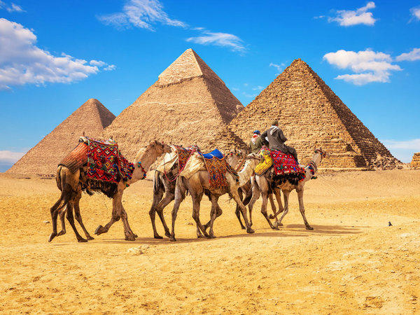 Интересные факты о Египте, о которых следует знать всем туристам, отправляющимся в страну на отдых