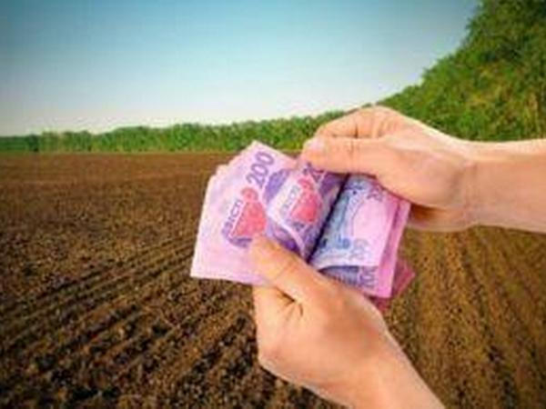 Землевладельцы и землепользователи Кременчуга и района пополнили бюджет на 77,4 млн грн