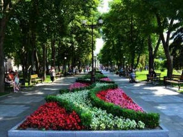 На клумбах Кременчуга высадили рекордное количество цветов