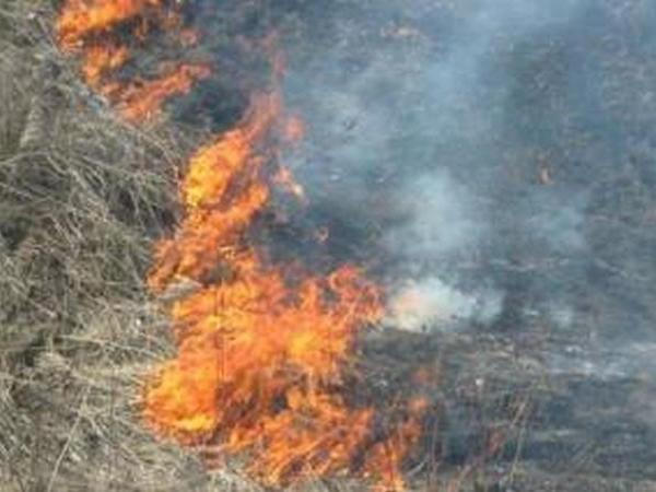 Мэр Кременчуга прокомментировал пожар торфа в Бондарях