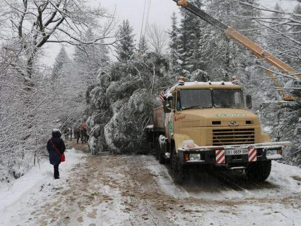 КрАЗ планирует новое путешествие за новогодней елкой для киевлян