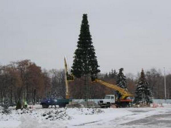В Кременчуге монтаж новогодней елки идет полным ходом