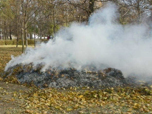 77 кременчужанам вручено сообщение о запрете на сжигание листьев