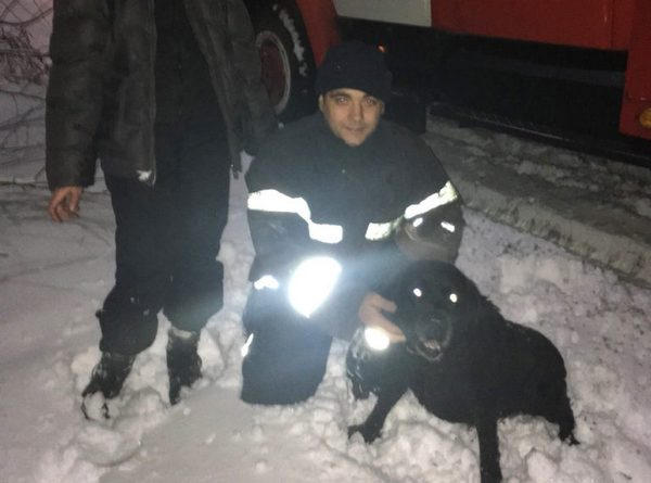Кременчугские спасатели помогли достать собаку из 4-метровой ямы