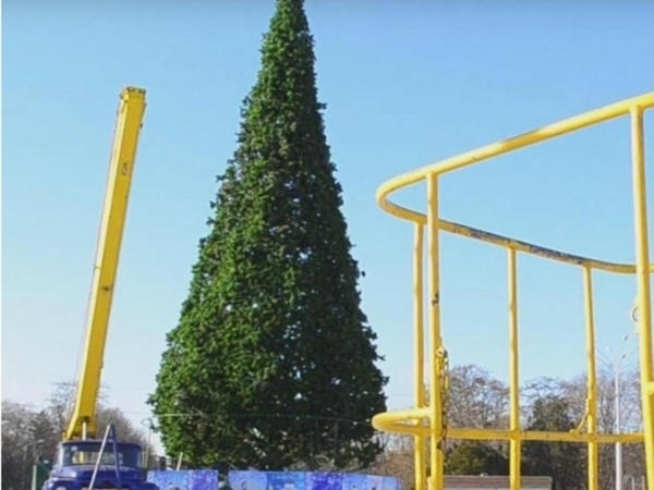 Кременчугские коммунальщики обещают украсить новогоднюю елку по-новому