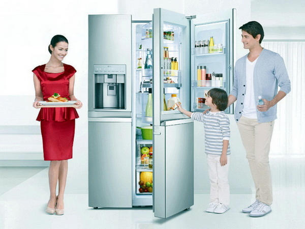 как правильно выбрать холодильник для дома