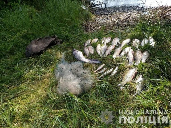 На Кременчугском водохранилище задержали очередного нарушителя нерестового сезона