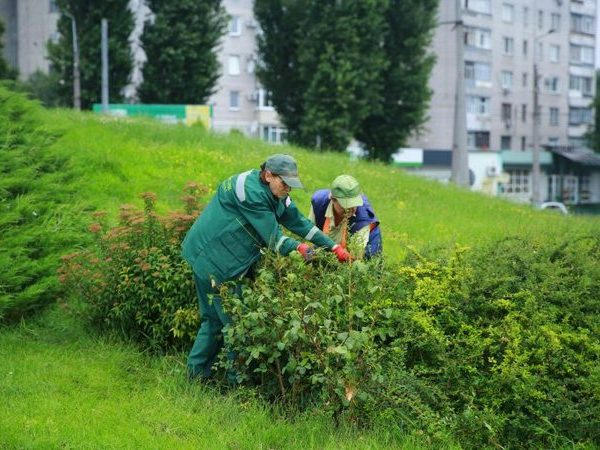 Кременчугские коммунальщики продолжают создавать красоту в городе