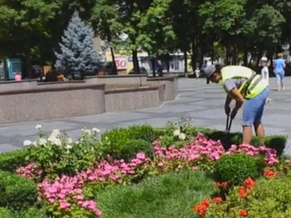 Кременчугские коммунальщики ухаживают за зелеными уголками в городе