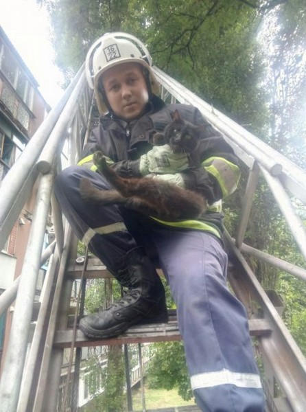 В Кременчуге кота, который просидел на дереве четверо суток, пришлось снимать спасателям