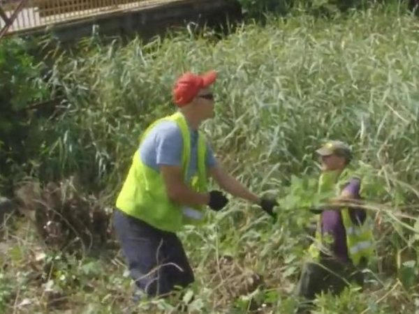 Кременчугские коммунальщики расчищают водоотводные каналы