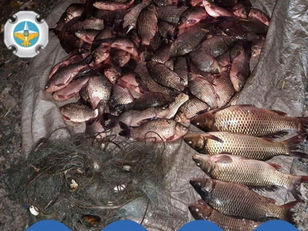 Браконьер наловил на Кременчугском водохранилище более 50 кг рыбы