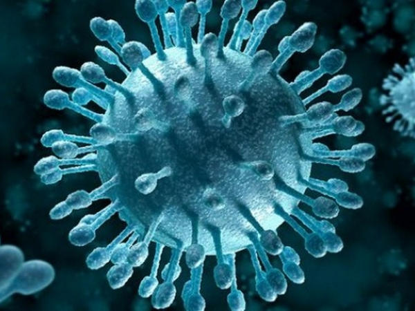 Кременчужан атакует острый вирусный гепатит и сальмонеллез