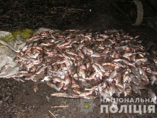 На Кременчугском водохранилище задержали рыбака с незаконным выловом