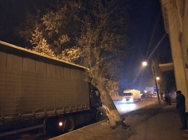 В Кременчуге дерево упало на грузовик