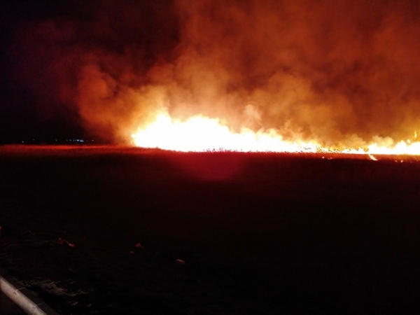 В Кременчуге продолжает гореть суха трава