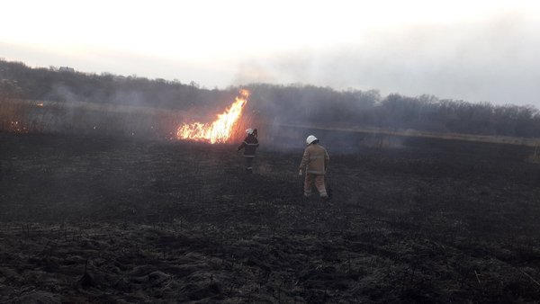В Кременчуге и районе горела трава на открытой территории