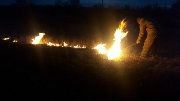 В Кременчуге и районе горела трава на открытой территории