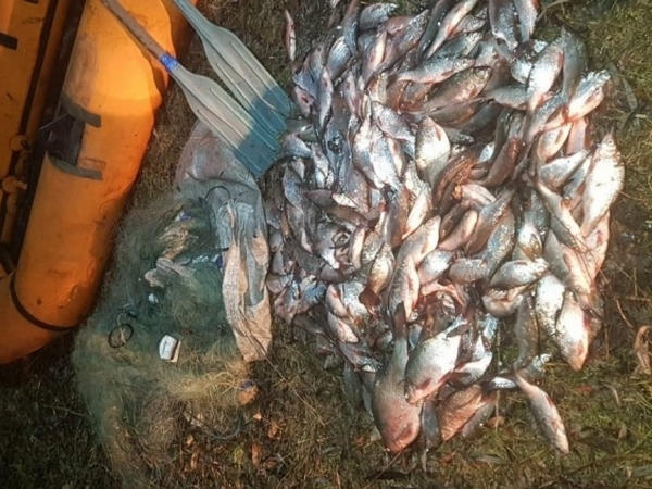 На Кременчугском водохранилище браконьер выловил рыбы на более чем 10 тысяч гривен