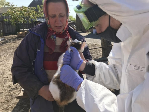В Кременчугском районе ветеринары провели вакцинацию более тысячи домашних животных