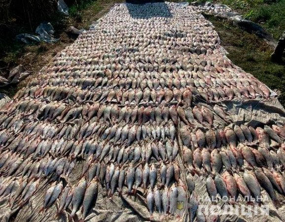 Полиция задержала на Каховском водохранилище браконьеров с более 600 кг рыбы