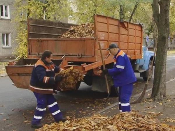С начала трехмесячника чистоты и порядка из Кременчуга вывезли 13 тысяч кубов опавшей листьев