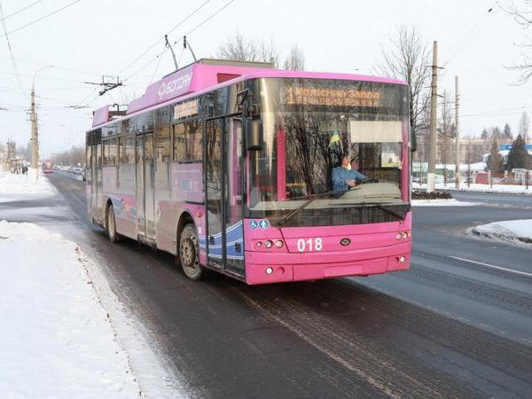 Мэр Кременчуга проверил работу общественного транспорта при сильных морозах