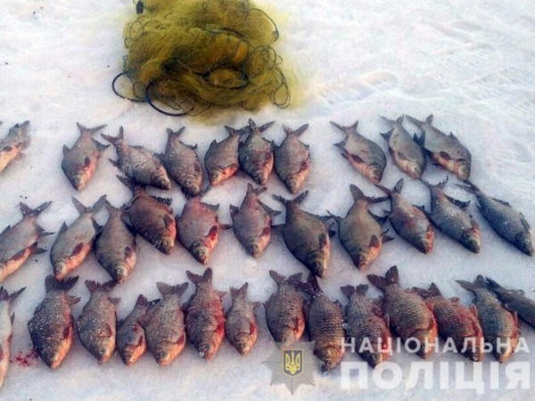 На Кременчугском водохранилище задержали браконьера