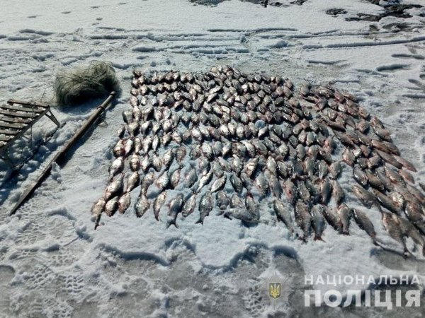 На Кременчугском водохранилище браконьер наловил рыбы на 20 тысяч гривен