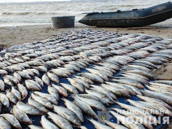 На Кременчугском водохранилище задержали браконьера с уловом на 212 тысяч гривен