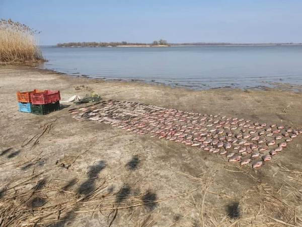 На Кременчугском водохранилище 26-летний браконьер наловил рыбы на 80 тысяч гривен