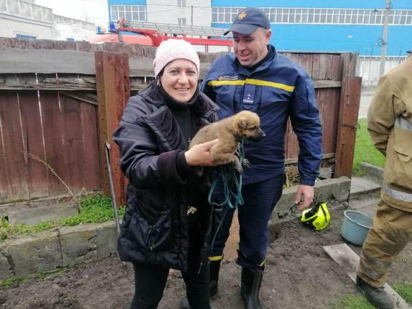 Кременчугские ГСЧСники провели операцию по спасению щенка