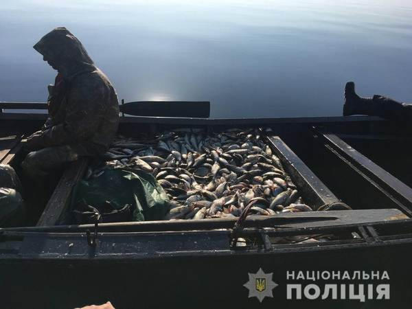 На Кременчугском водохранилище у браконьера изъяли более тонны рыбы