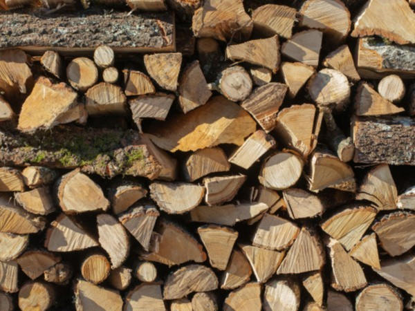 Особенности и правила хранения дров для отопления дома