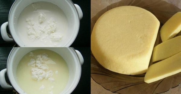 Как приготовить твердый сыр в домашних условиях