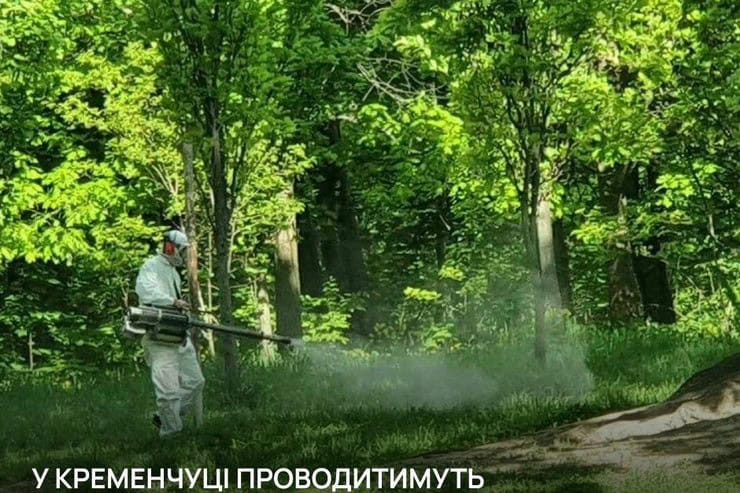 Кременчук готується до літа: важлива інформація для жителів міста