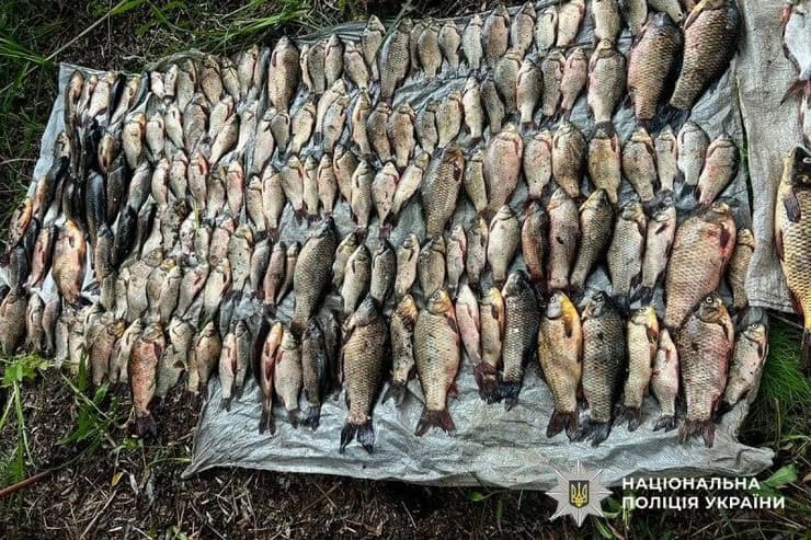 В Кременчуцькому районі браконьєр виловив з річки на території національного природного парку 50 кг риби