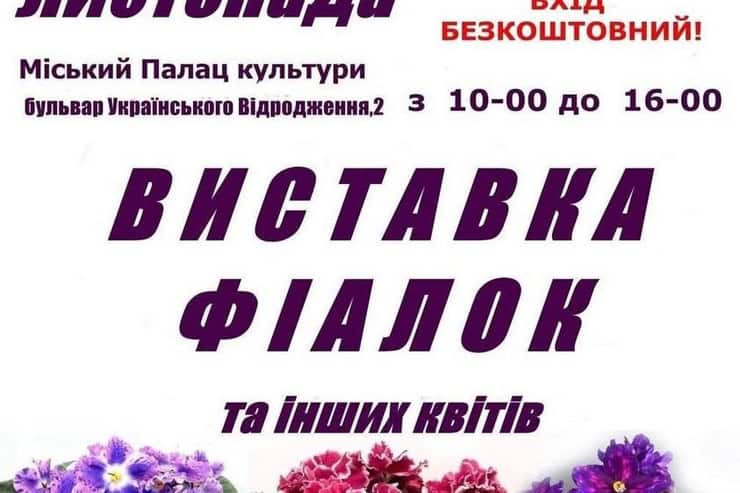 Выставка фиалок в Кременчуге: успейте насладиться невероятной красотой цветов