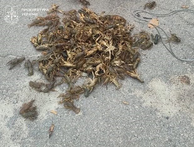 Двух рыбаков из Кременчуга будут судить за незаконный вылов на 700 тысяч гривен