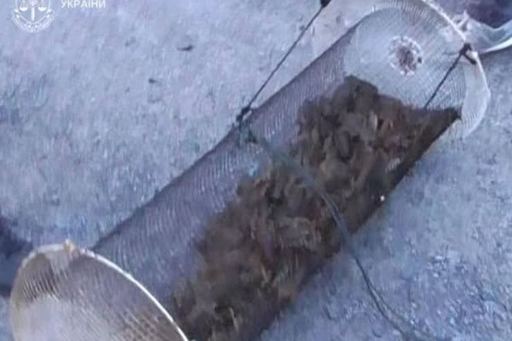 Двух рыбаков из Кременчуга будут судить за незаконный вылов на 700 тысяч гривен