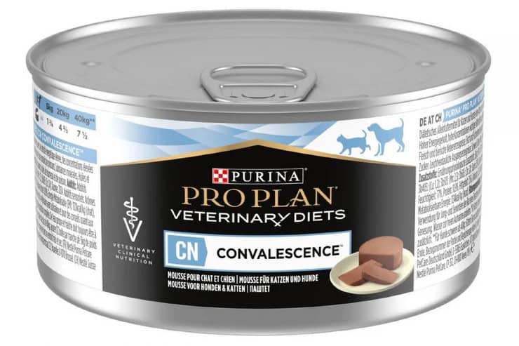 Влажный рацион собак: когда консервы действительно полезны