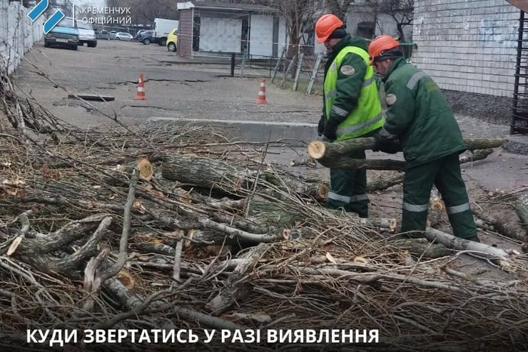 Непогода в Кременчуге: сильный ветер валит деревья