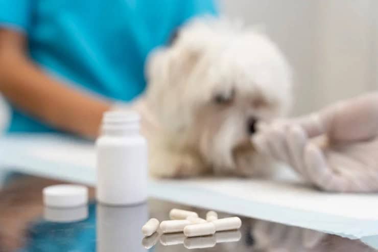 АСД фракция 2 купить