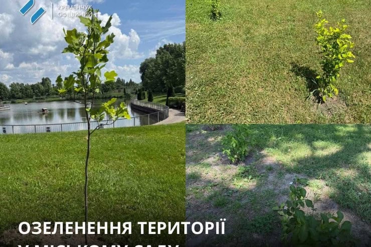 В Городском саду Кременчуга высадили тюльпановые деревья и 80 кустов гибискуса и вейгулы