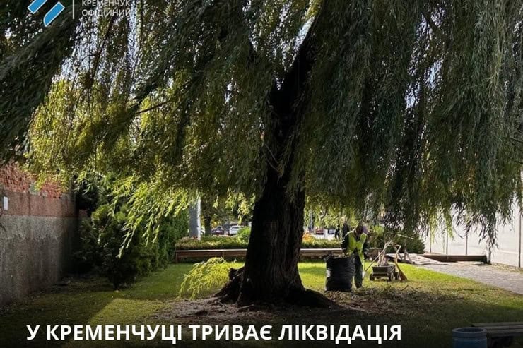 Непогода натворила беды в Кременчуге: сильный ветер ломал деревья